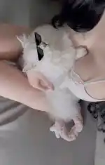 اهه