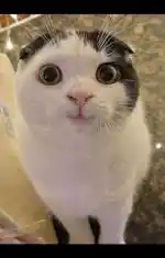 Dışarda kalma
