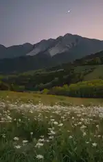 peace of mind