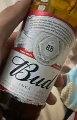 Bud gibi grup
