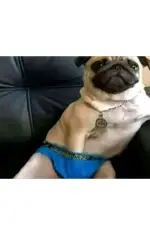 Sıkılanlarrrw