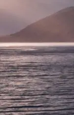 후