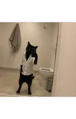 Çok güzel insanımdır
