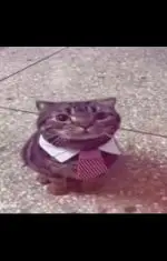 Köle arayan kızlar gelsin