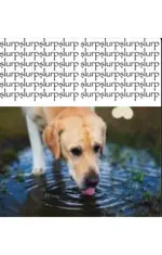 Hola ok