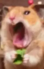 فـޢޢـآلـޢޢــهـޢޢـۅآ سـޢޢـۅآ