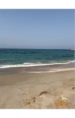 تعالو نتسلا
